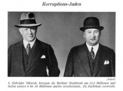 Der Jude als Verbrecher (Seite 223 von 238) 2018-01-12 10-42-29