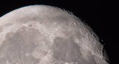 Mond1
