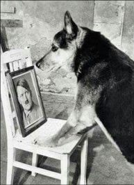 Adolf Hitler photo_2017-11-17_07-59-44