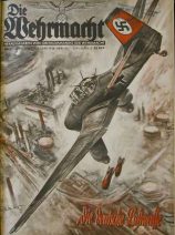 DR Luftwaffe Poster