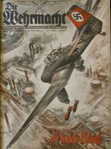 DR Luftwaffe Poster