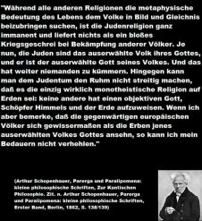 Schopenhauer zu Juden 2