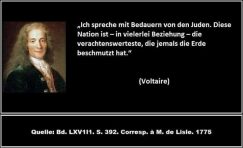 Voltaire zu Juden 2