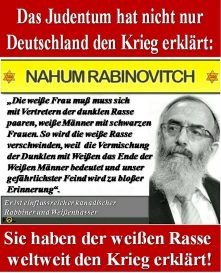 Rabbi zur weissen Rasse