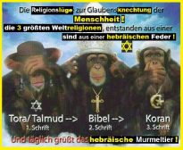 Talmud:Bibel:Koran