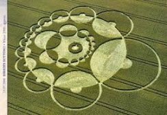 Kornkreis30